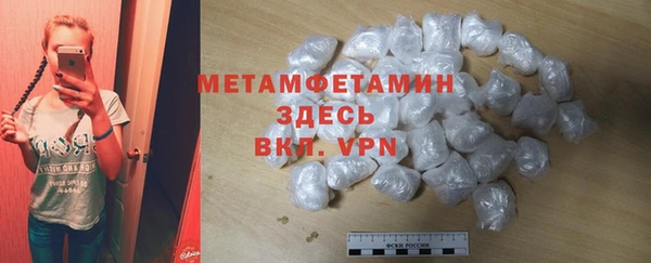 крисы Инта