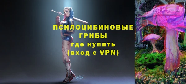 твердый Зерноград