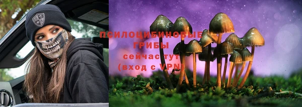 твердый Зерноград