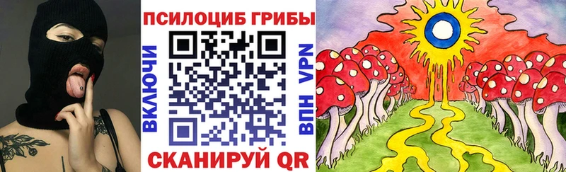 Купить где  Вологда  Псилоцибиновые грибы мухоморы 